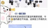 巴厘岛网友爆料视频播放,揭秘神秘事件背后真相