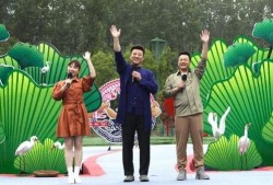 胜子大哥爆料视频大全最新,揭秘娱乐圈幕后真相